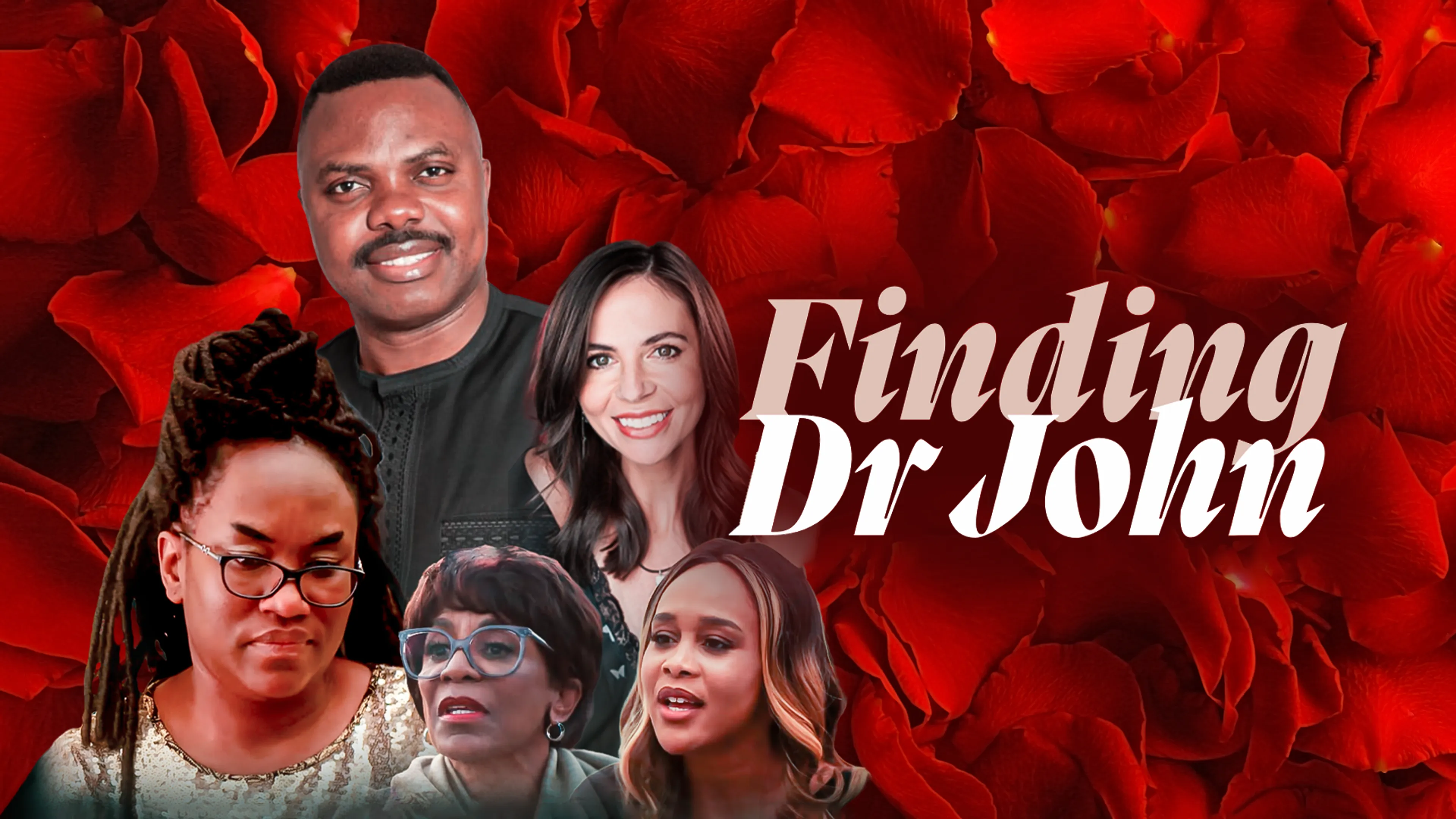 Finding Dr. John poster